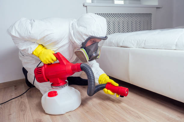 Best Pest Removal Services  in Bellwood, IL